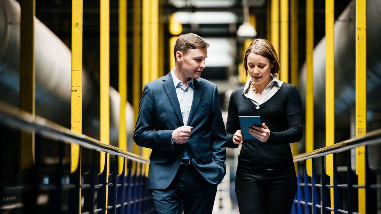 Business owners and incorporated professionals